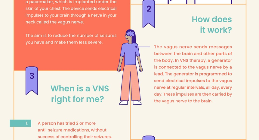 vns infographic part 2